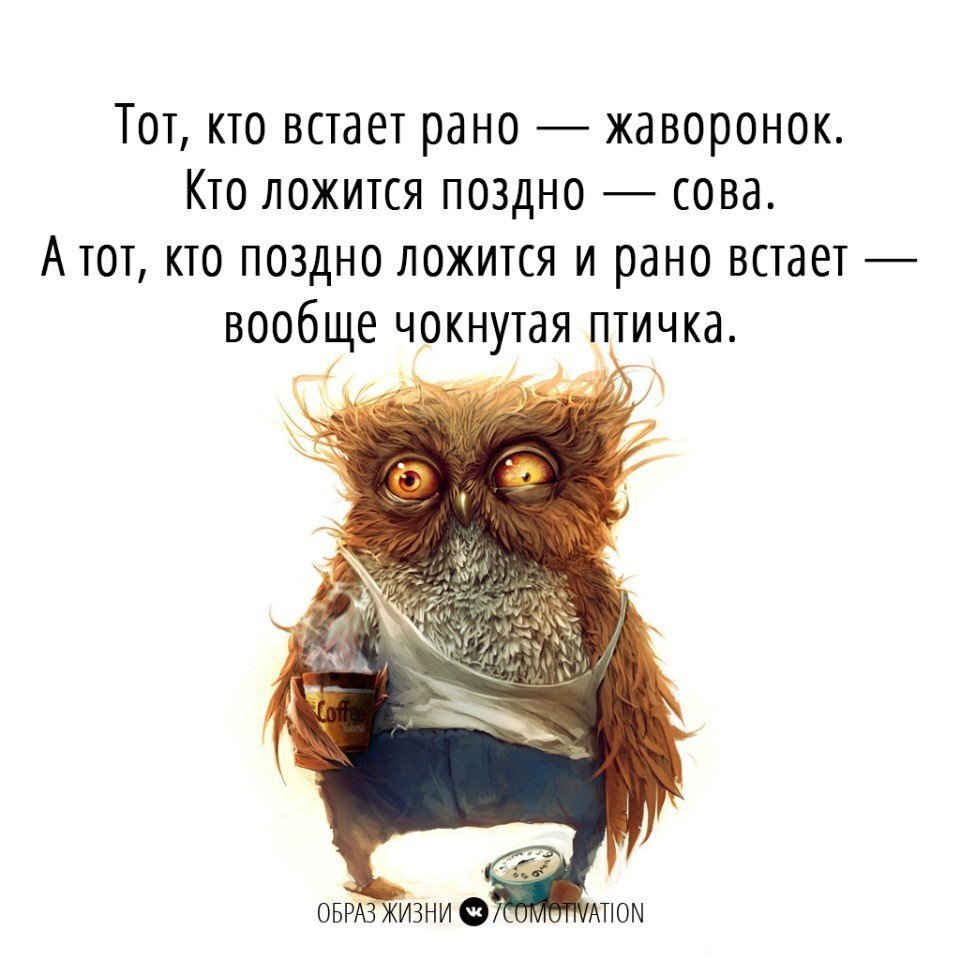 Яндекс-картинки 