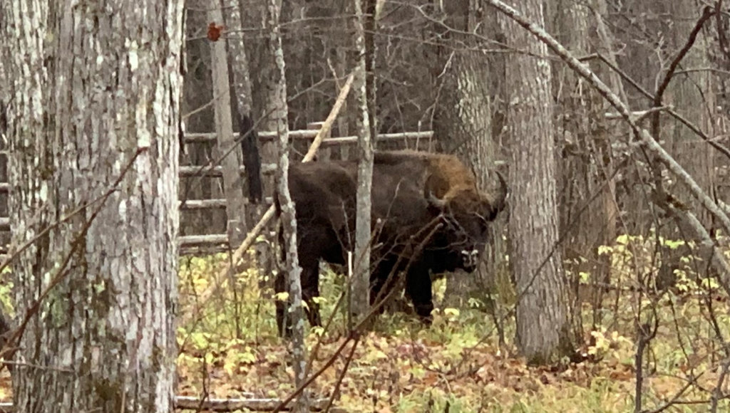    Фото: пресс-служба Росприроднадзора