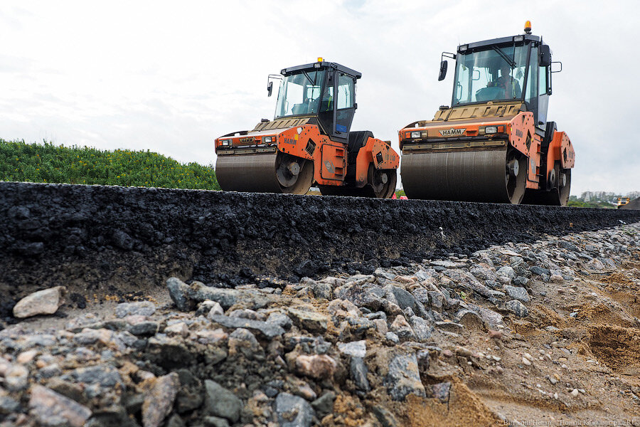 Фото: Виталий Невар / Новый Калининград