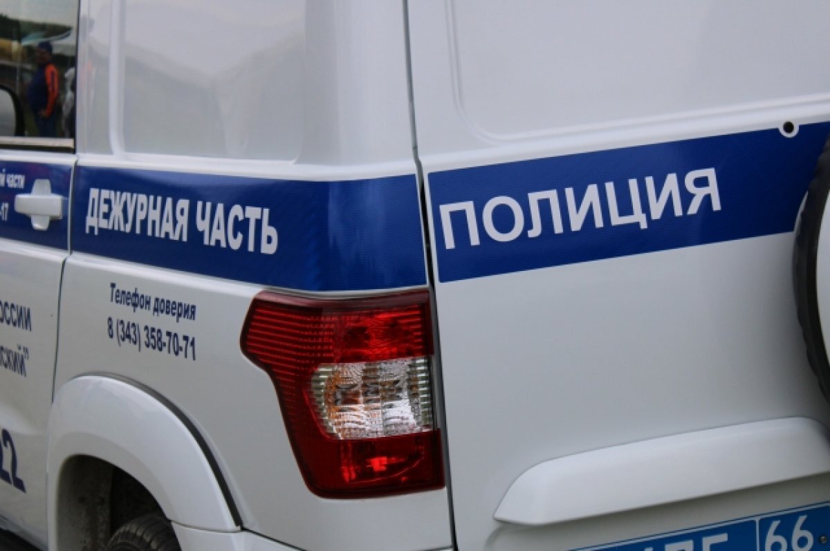    В Перми женщина била и душила 9-летнего мальчика на детской площадке