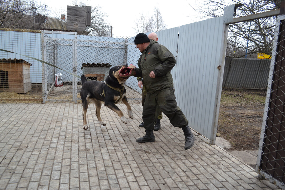 проверка Харона