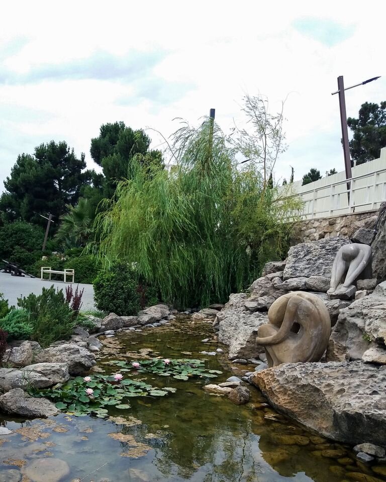 Автор фото: М. Маил