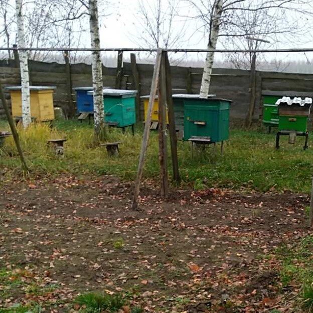Пасека в ноябре