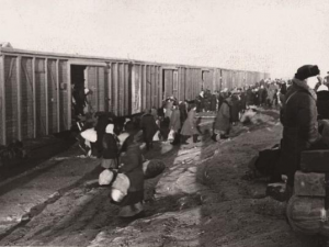 Фото: пресс-служба Государственного музея истории Петербурга