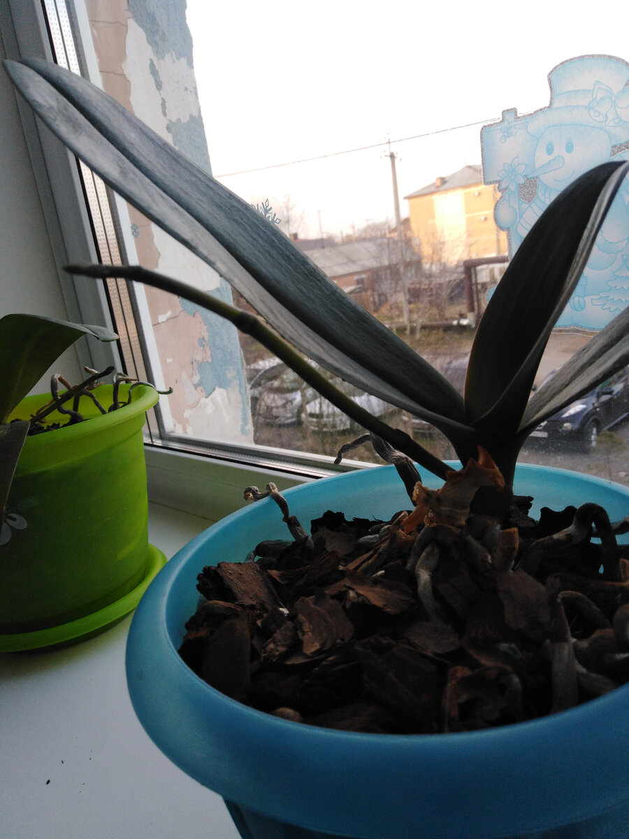 Актуальное фото детки