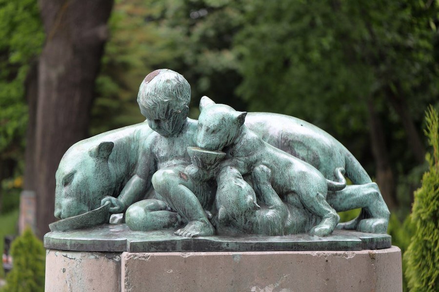 Фото: Михаил Пуликов, Калининградский зоопарк