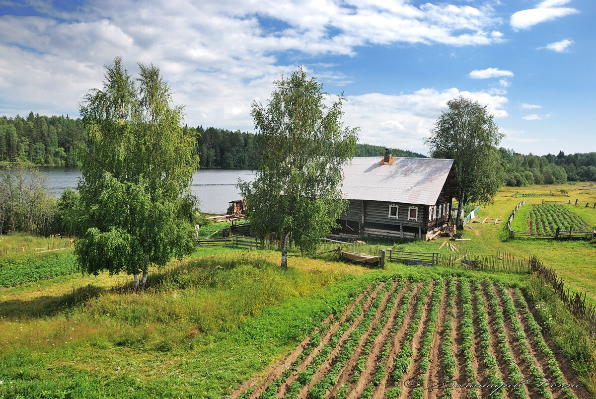 Деревня падмозеро фото