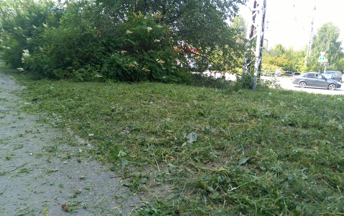 Фото В. Мухина