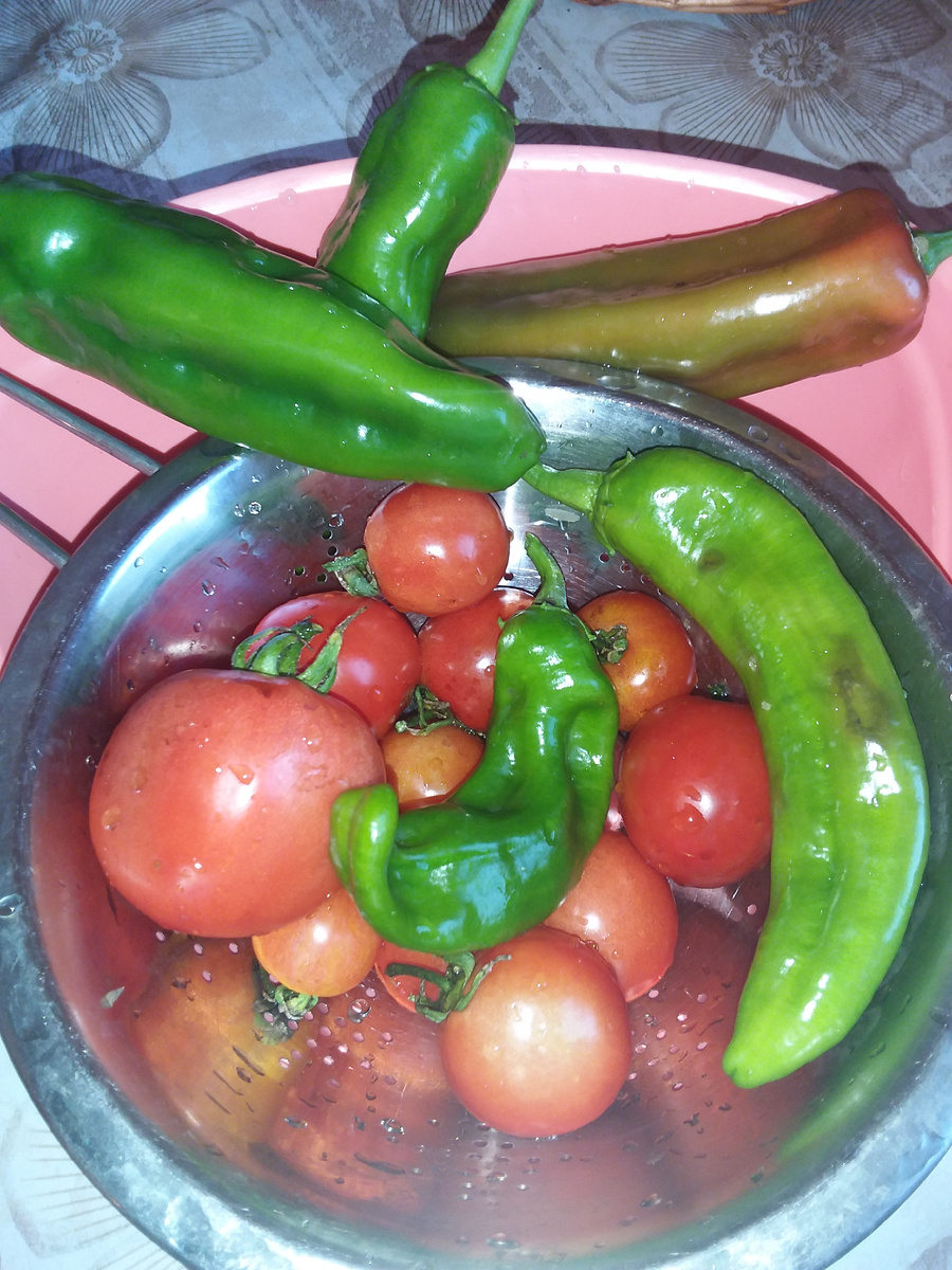 Помидоры и перец конечно же с грядки. 