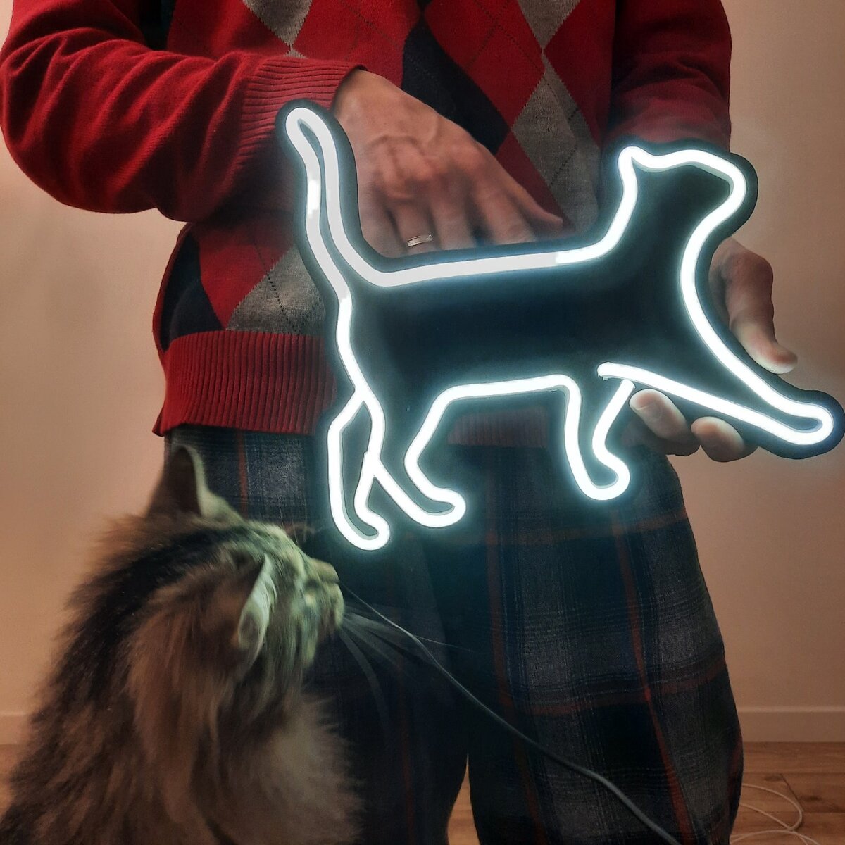 Неоновая вывеска в форме котика.