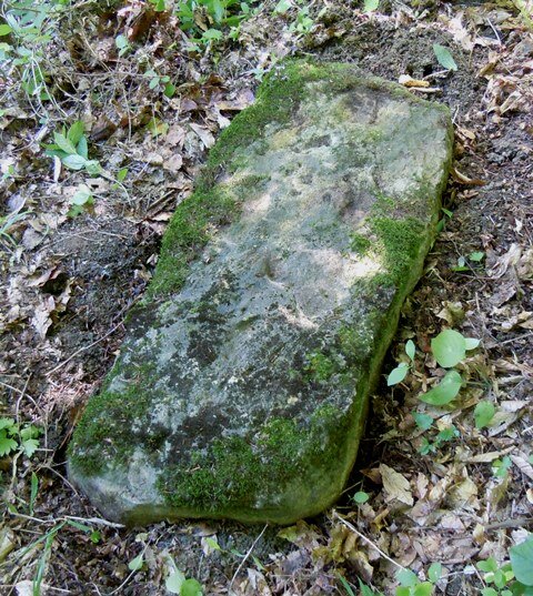 Обнаружение и поиски Объекты были случайно обнаружены в 2001 г. Занимался в другом месте картографированием и для разнообразия совершил экскурсию с подъёмом на одну из гор.-4