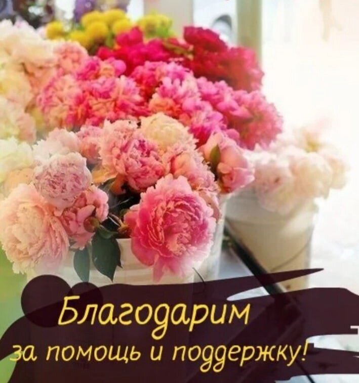 Открытка благодарность за помощь и поддержку. Благодаря его за помощь. Благодаря его за помощь. Благодарим за помощь. Открытка благодарность за помощь и поддержку.