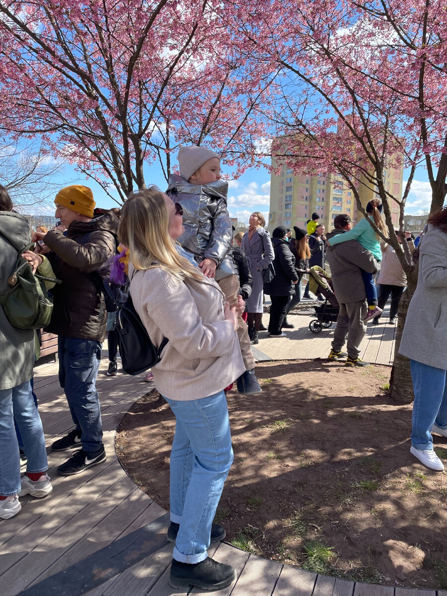 В Калининграде расцветает все 
