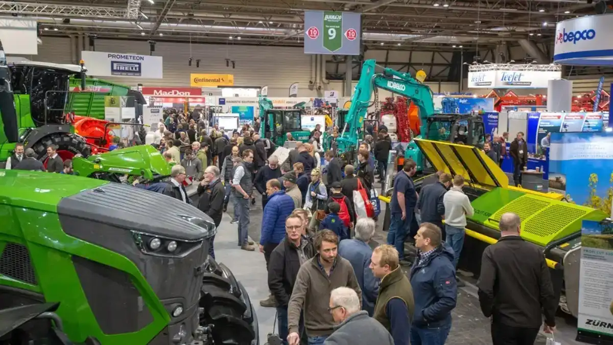 Фото: lammashow.com