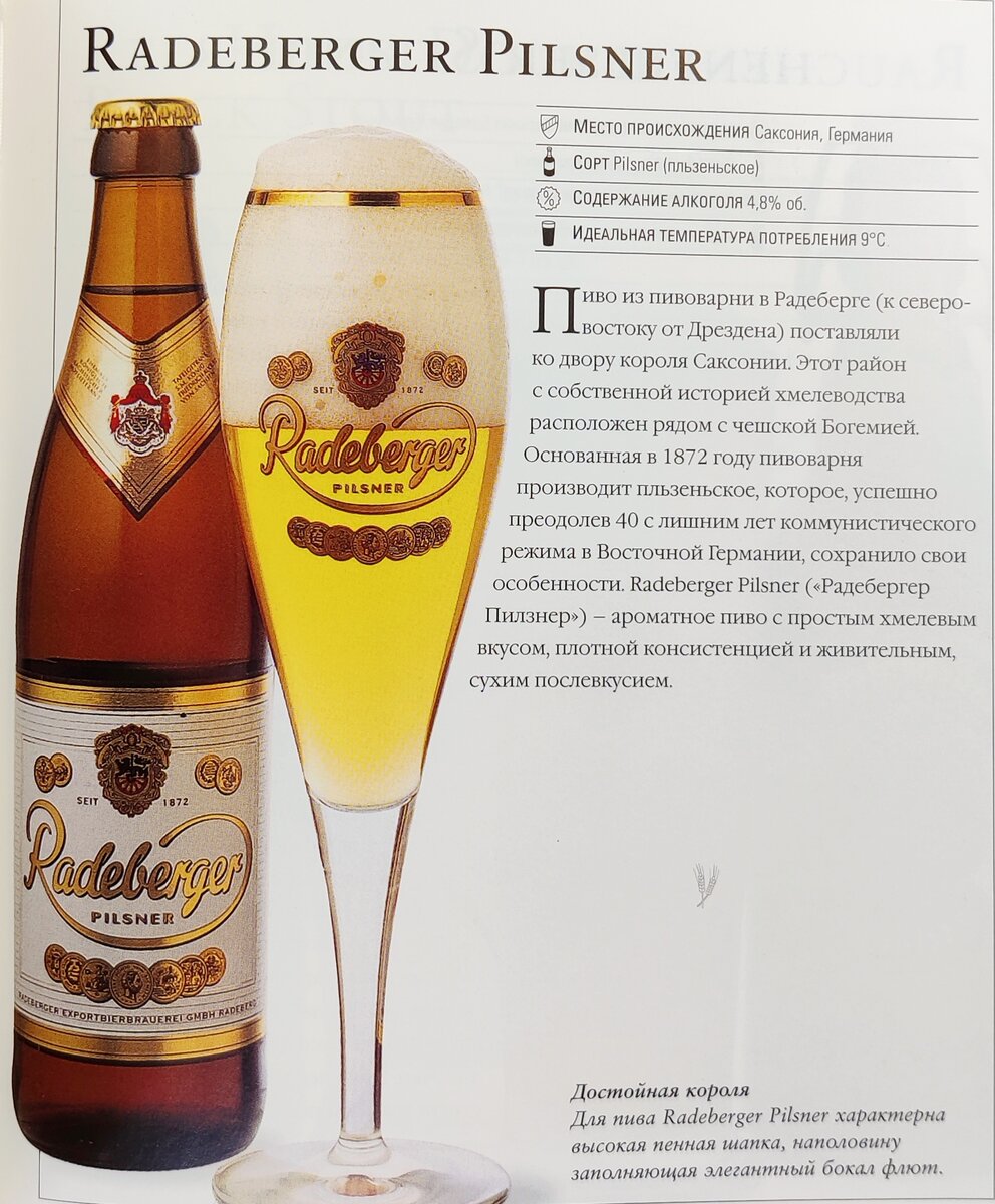 500 Великих марок пива. #494 - Radeberger Pilsner. Пиво королей ...