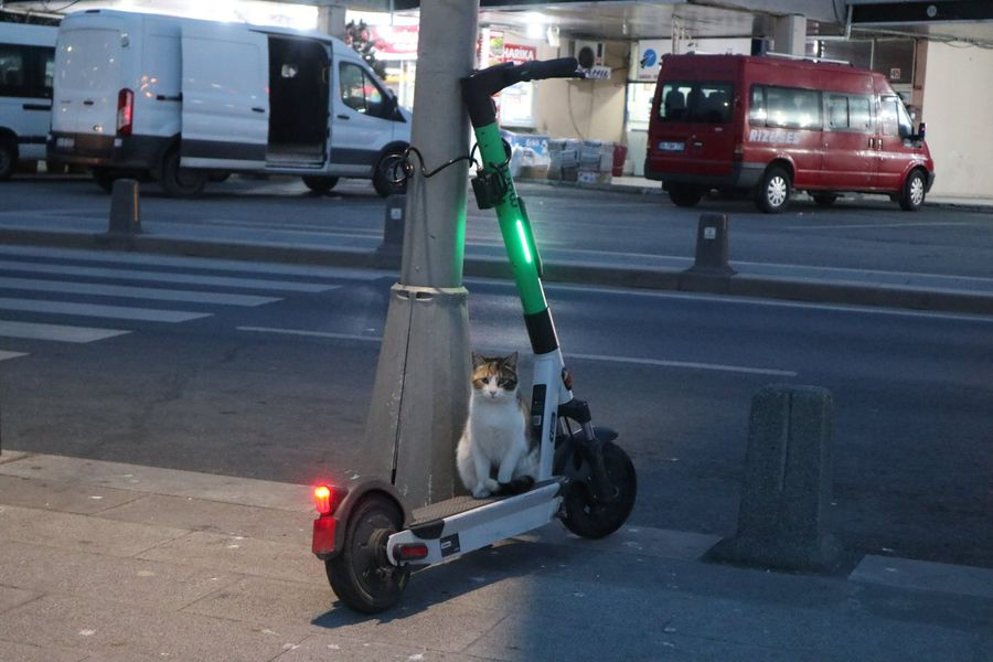 Стамбул урбанистический. Как азиатский хаотичный мегаполис стал уютным благоустроенным городом