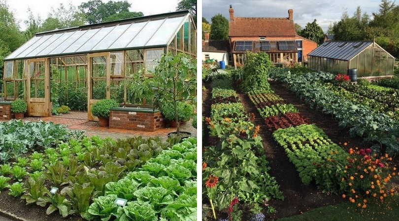 Фото: bezgoroda.com