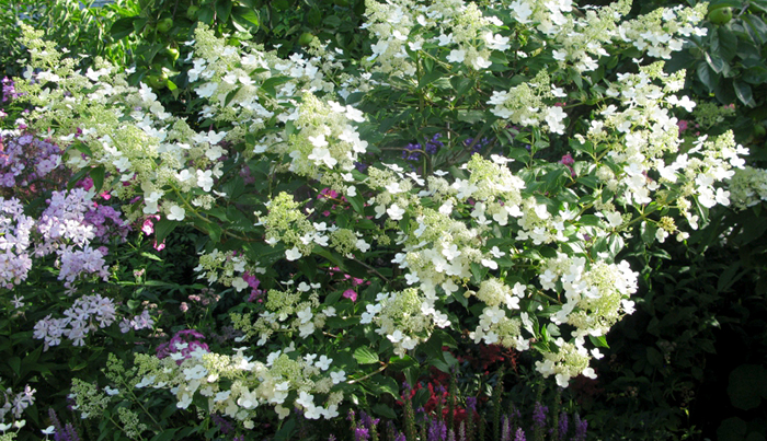 Прекрасно выглядит в групповых посадках