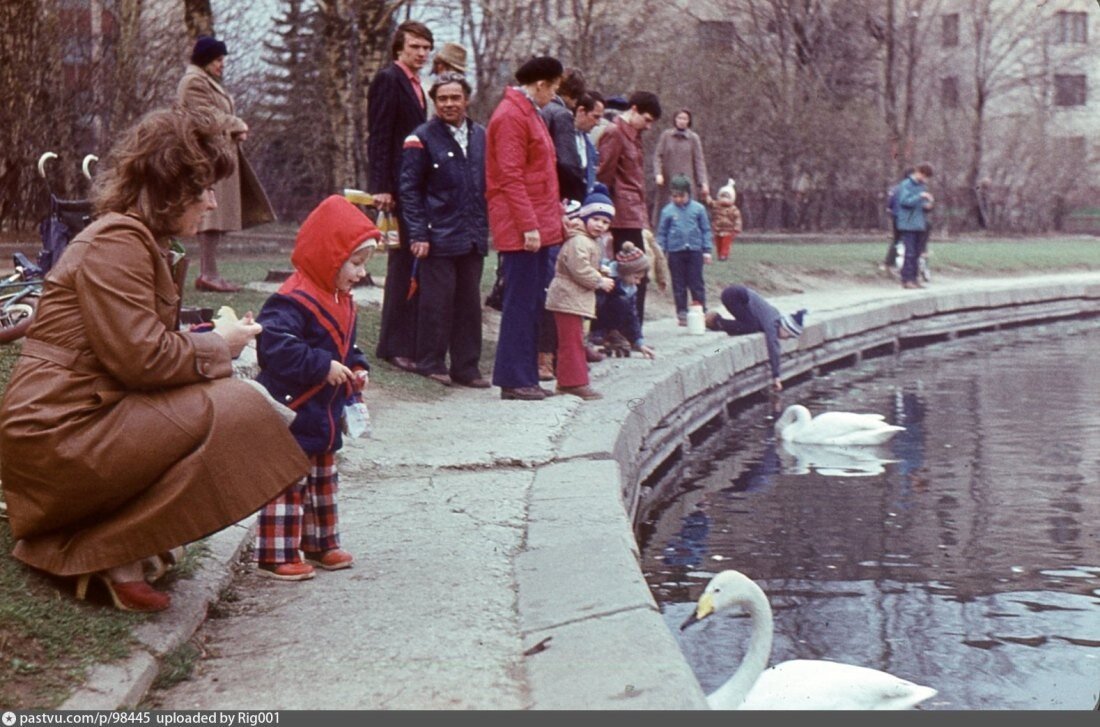 москва 1982