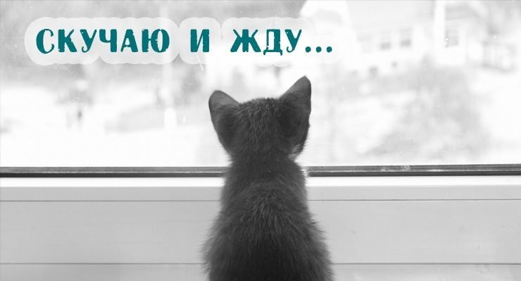 Вдохновение приходит в любую минуту нашей жизни, я сочиняла это на ходу на работе, мой муж был на вахте, я написала и отправила, ему было приятно. Ведь когда ты далеко от дома порой нужно знать что тебя любят и ждут. (любите и будьте любимы-это очень важно). 