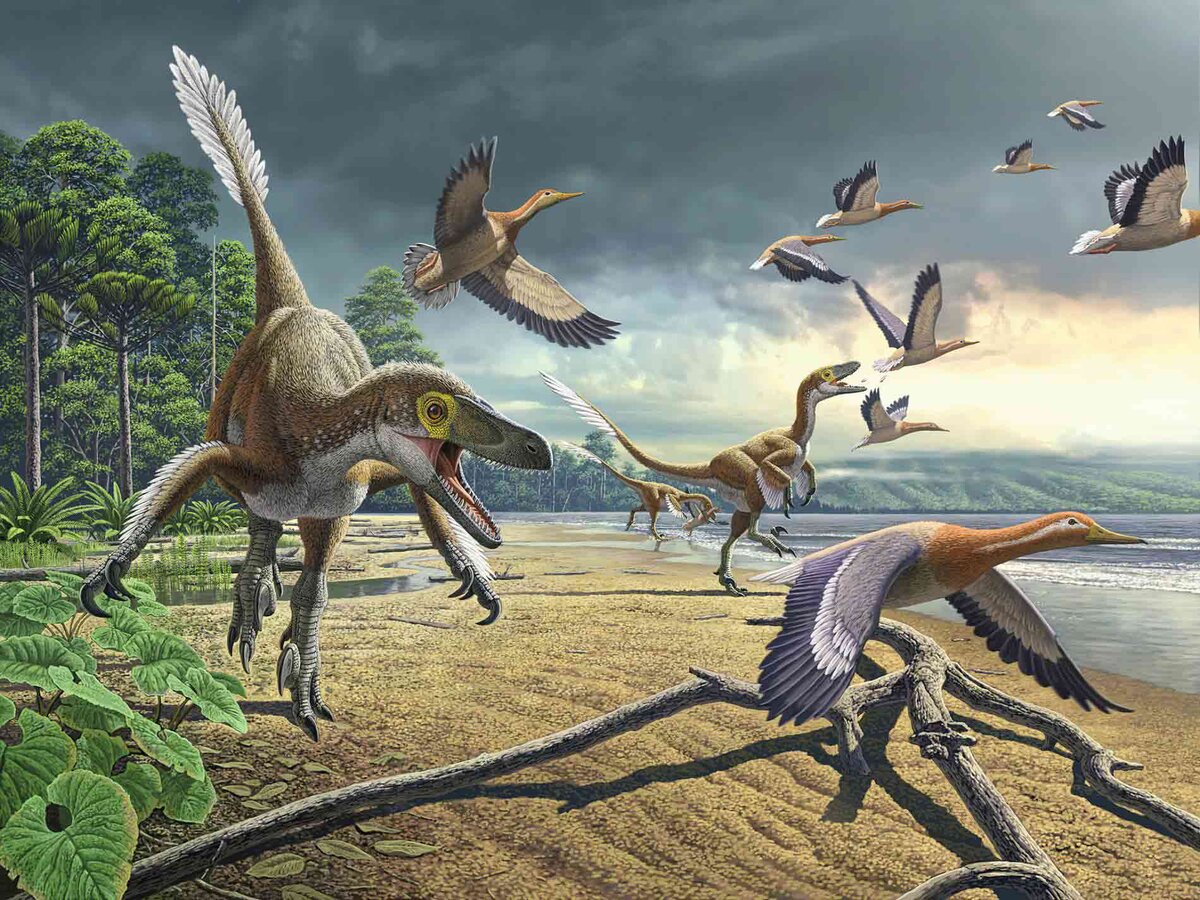 Рисунок из интернета: https://paleohunters.ru/media/images/15567088495cc97df1a75bf0.59768246.jpg
