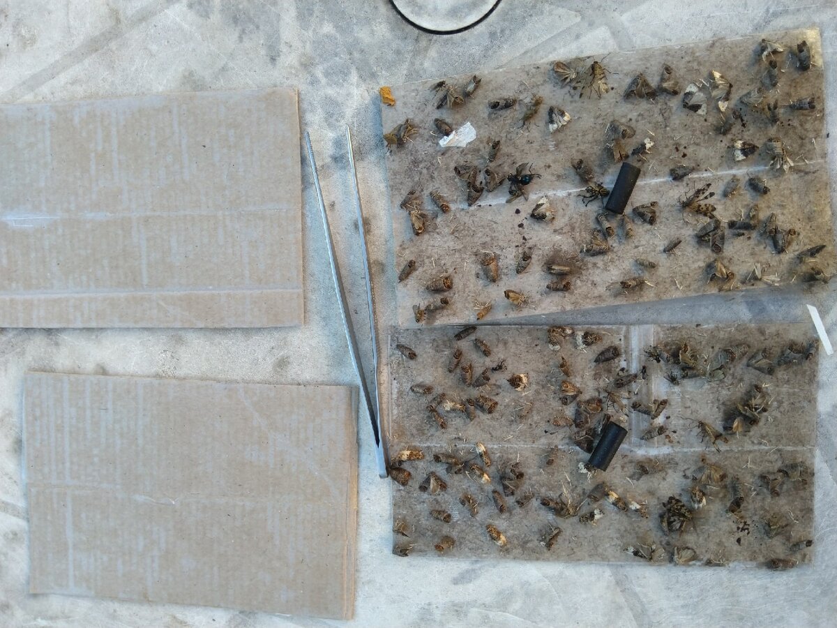 Вкладыши готовы к замене.