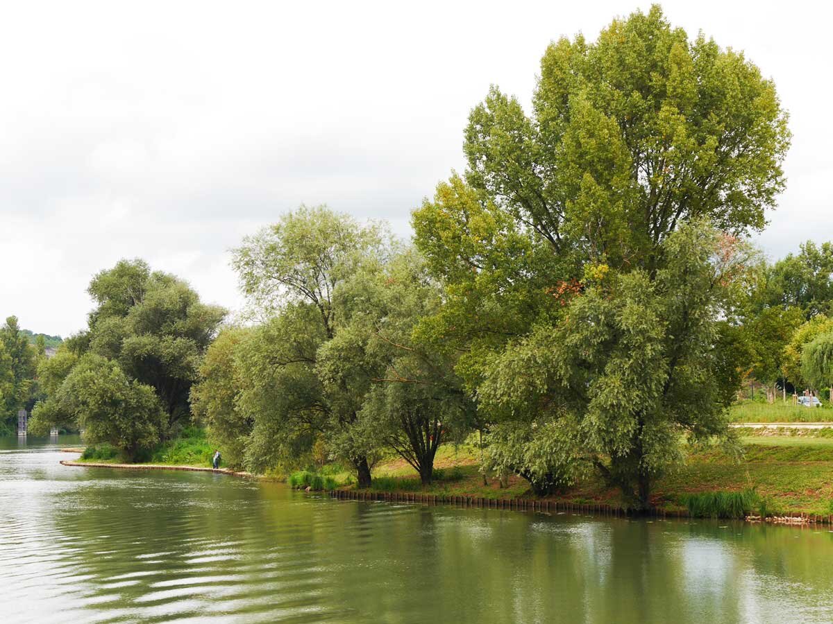 Rochetaillée banks of the Saone (Франция)