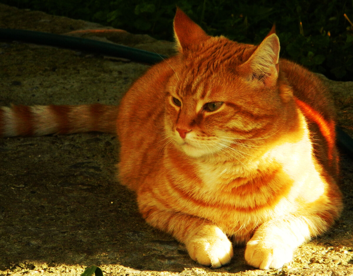 фото автора канала