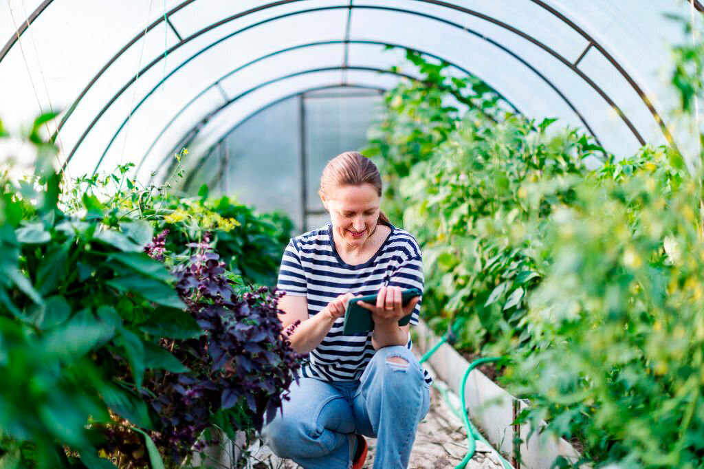 Теплица из поликарбоната и хороший урожай.