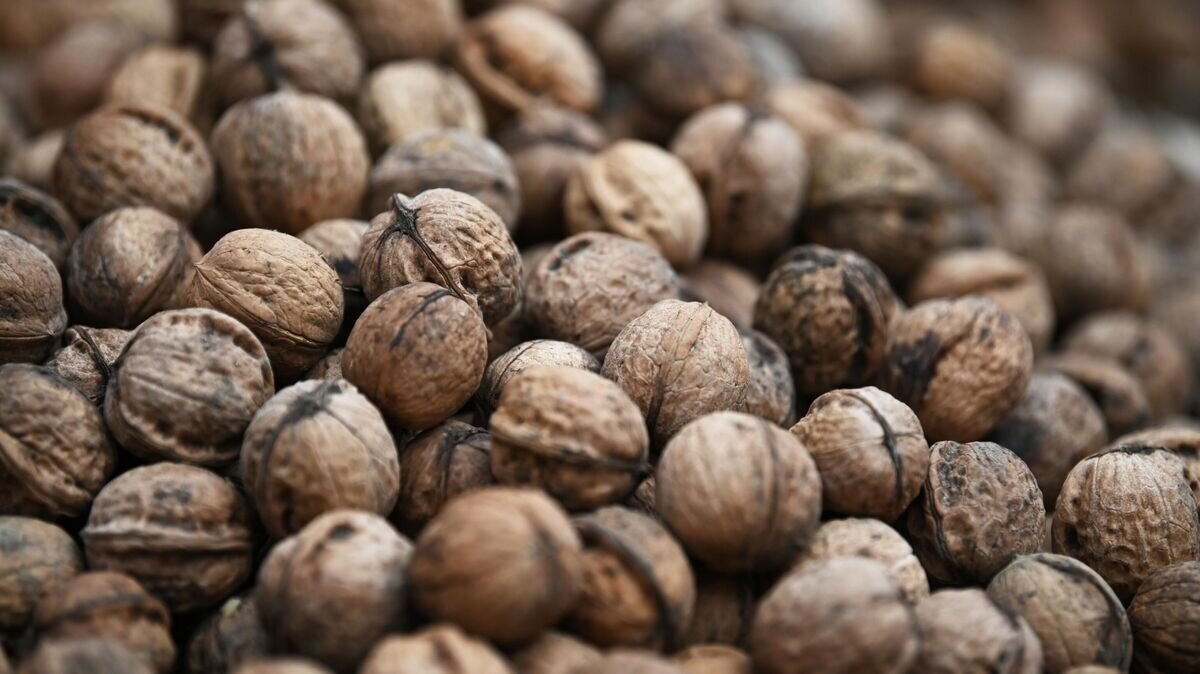    Продуктовая ярмарка в Сочи© РИА Новости / Артур Лебедев