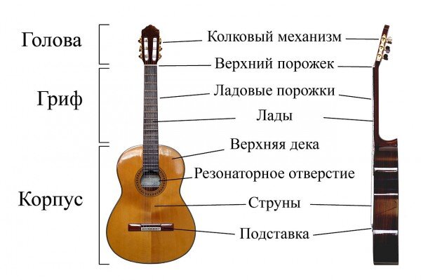 Конструкция гитары.