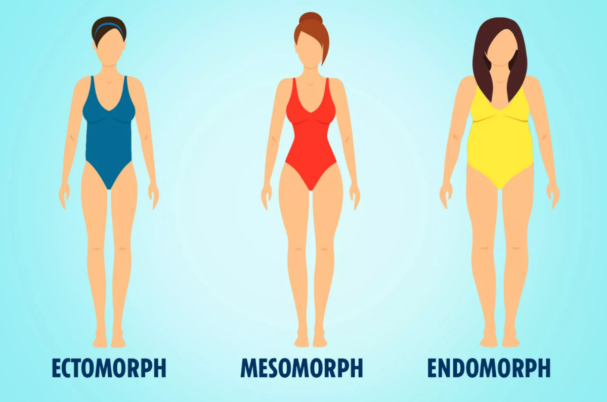 Виды тел. Эктоморф мезоморф и эндоморф женщины. Типы фигуры мезоморф эктоморф. Тип фигуры мезоморф эндоморф эктоморф для женщин. Тип фигуры эктоморф женщины.