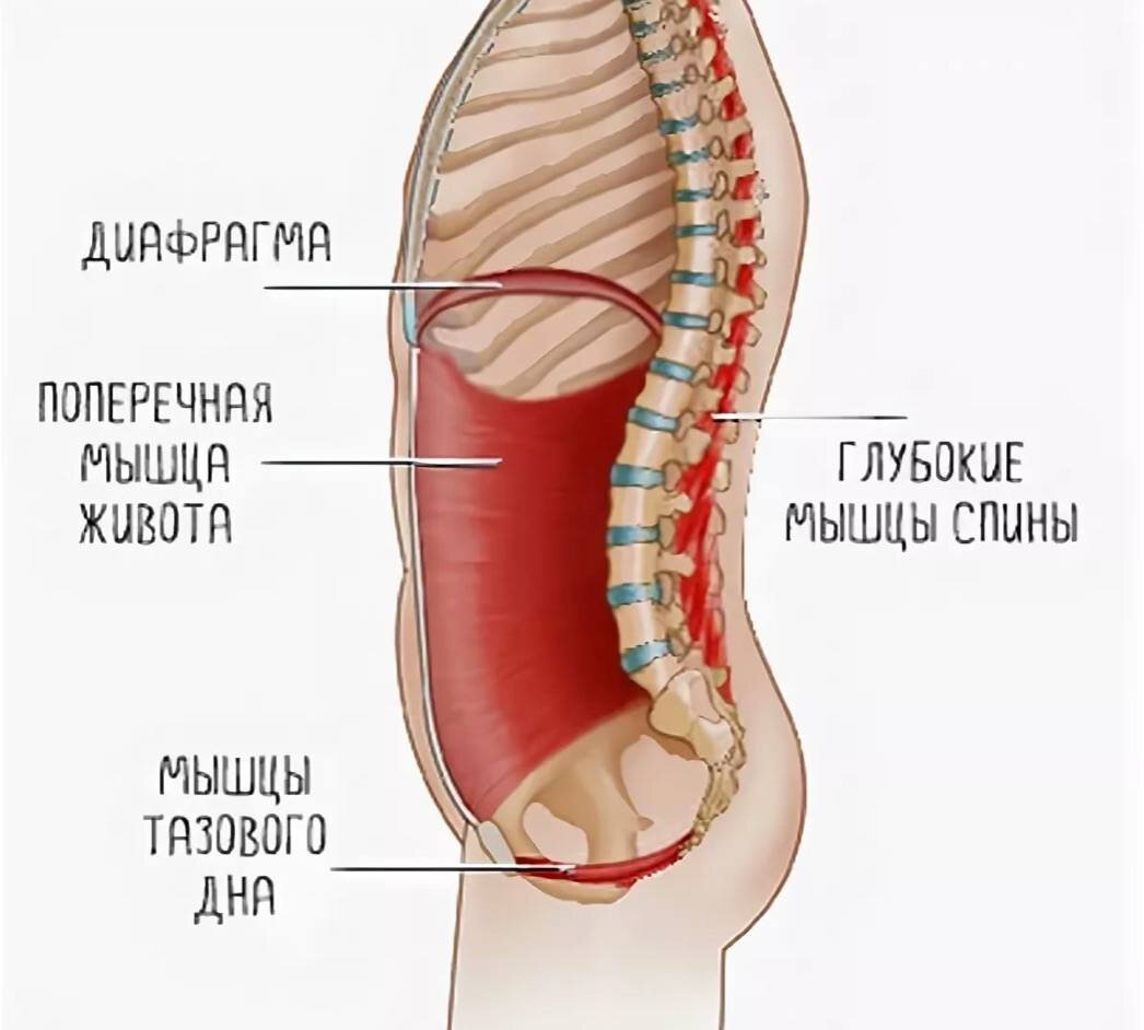 Кора пресс