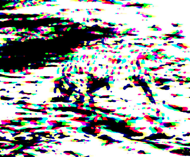 Фото из открытых источников интернета 