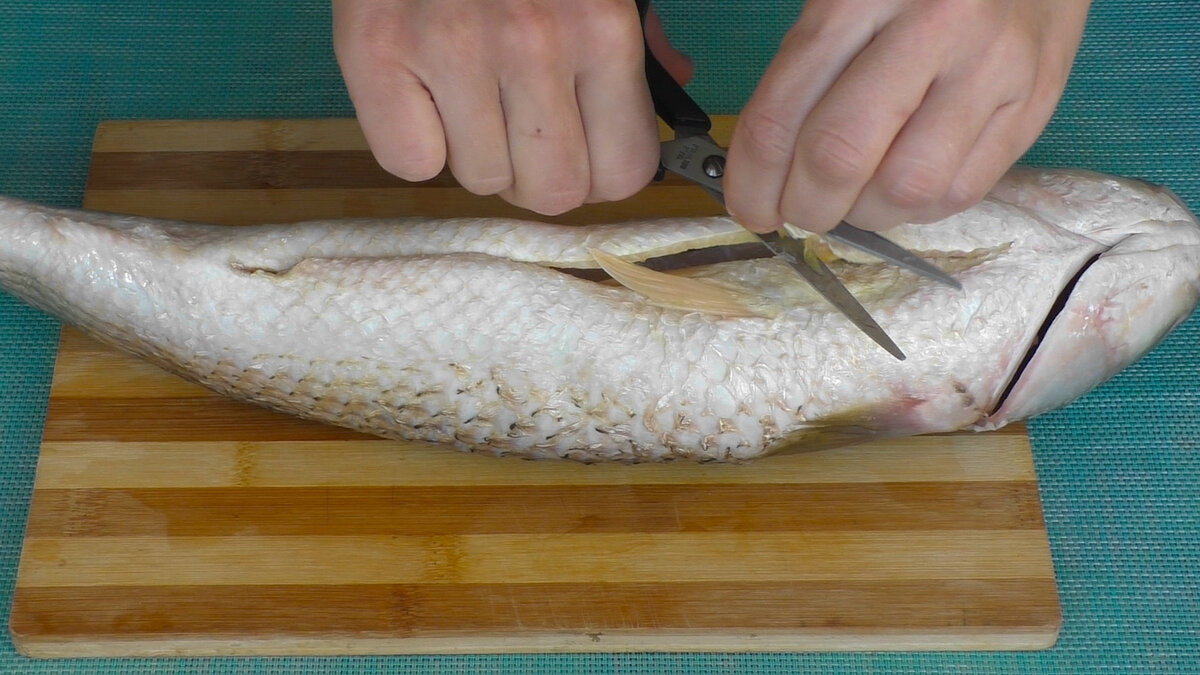 Изображение взято с Яндекс картинки https://goo.su/oYl70rF