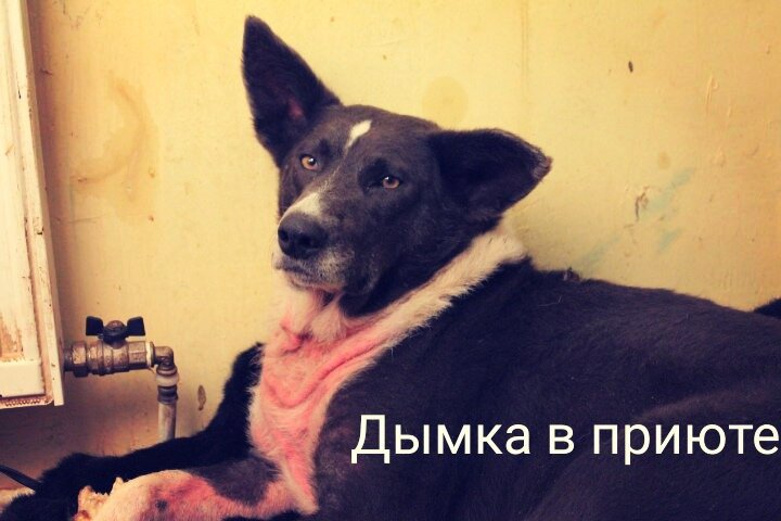 -1-3