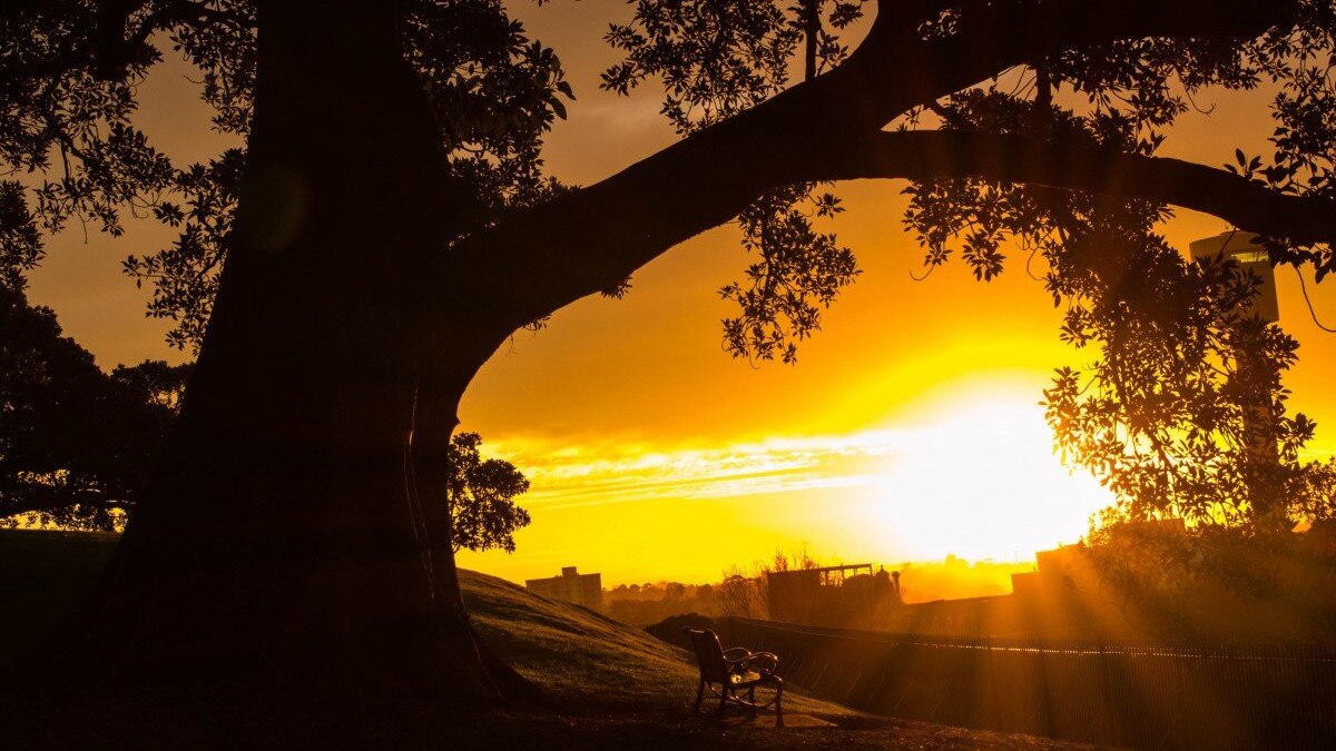 Фото: pxhere.com