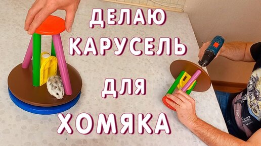 Как поймать хомяка