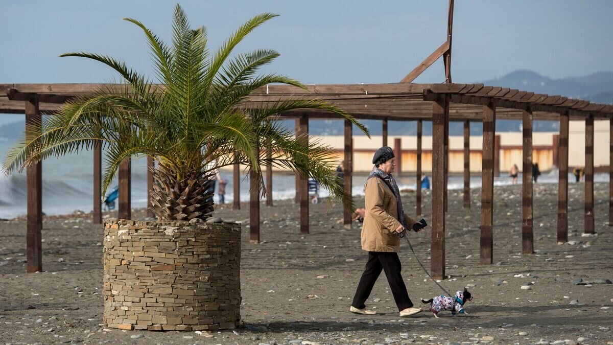    Женщина с собачкой на пляже Ривьера, Сочи© РИА Новости / Нина Зотина