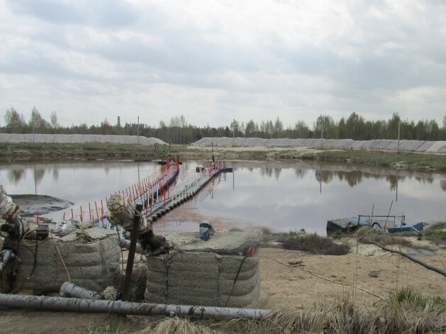   правительство Нижегородской области