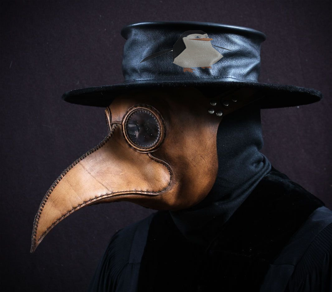 Примерный вид маски чумного доктора 
