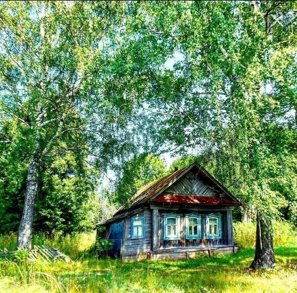 Фото взято из открытых источников