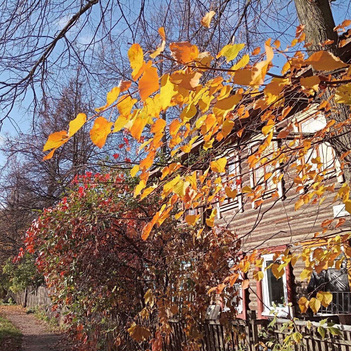 Осень как всегда спокойна и прекрасна (фото автора)