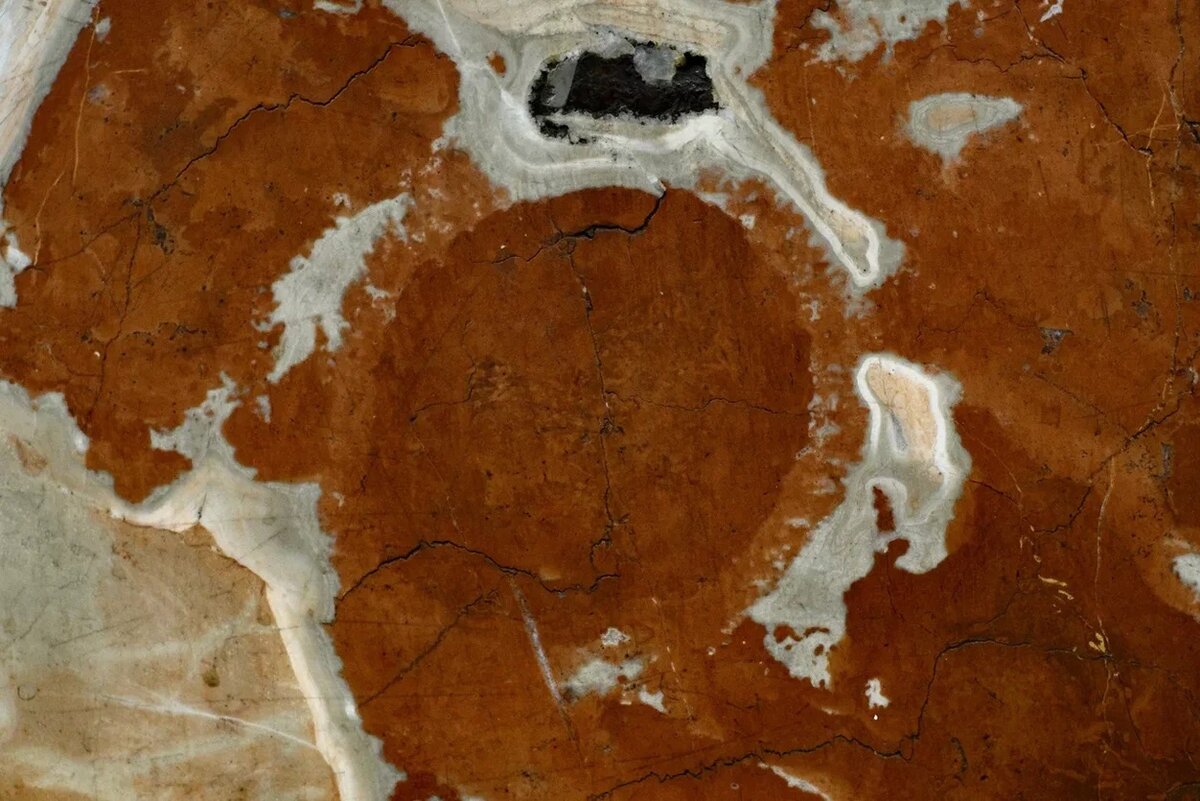 Коралл, станция метро «Площадь Восстания»