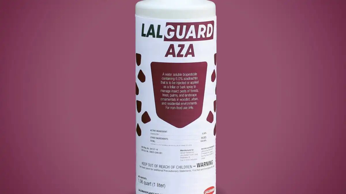 Фото:www.lallemand.com