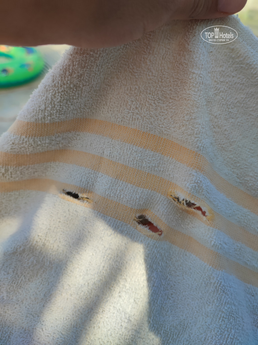 Источник: tophotels.ru