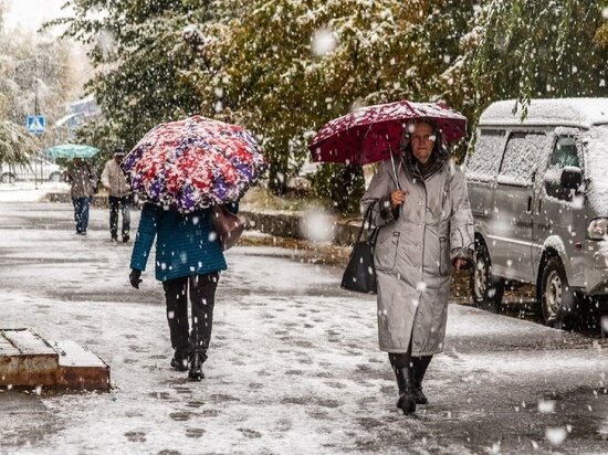     Густаво Зырянов / "МК в Новосибирске"