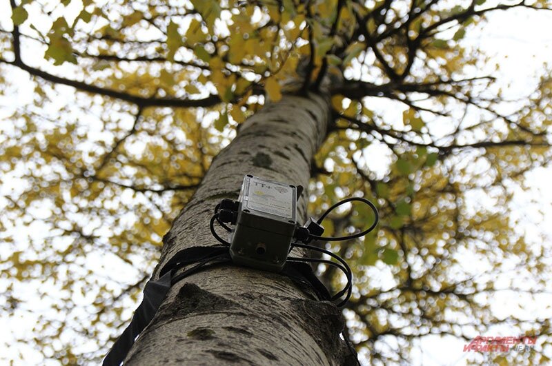    Фото:  АиФ/ Кирилл Искольдский