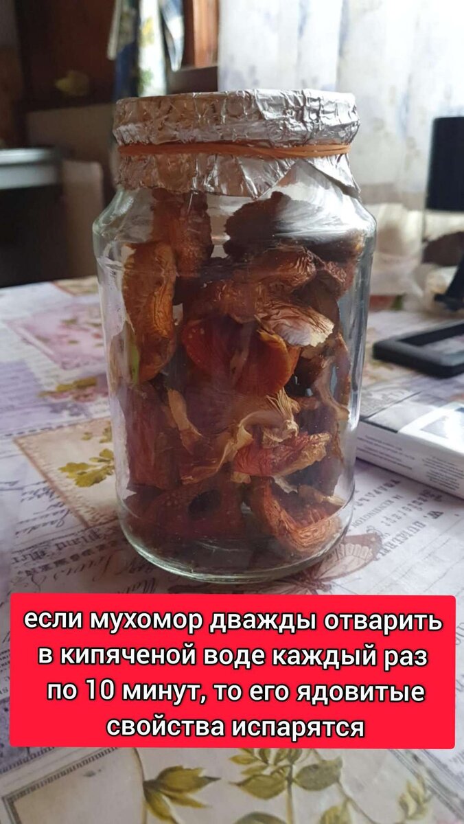 Сушеный мухомор