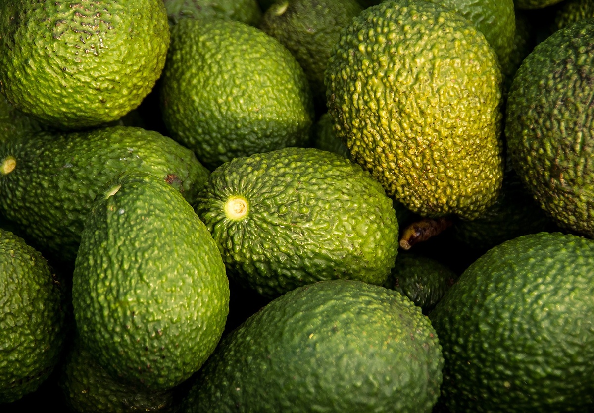 Фото взято с ресурса https://pixabay.com/ по ссылке: https://pixabay.com/tr/photos/avokado-hasat-meyve-organik-882635/